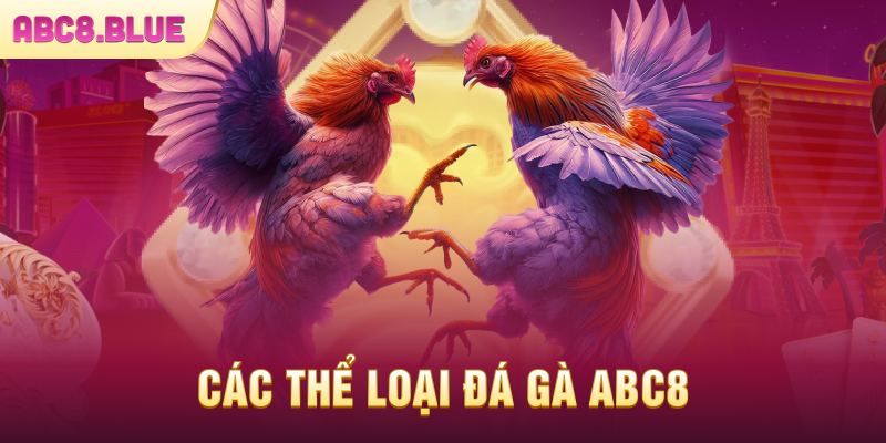 Các thể loại hình đá gà ABC8 