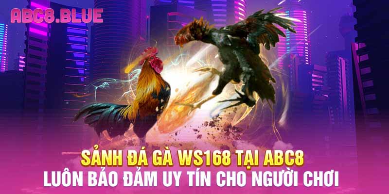 Sảnh đá gà WS168 tại ABC8 luôn bảo đảm uy tín cho người chơi