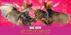 Đặc điểm của vảy gà ngũ quỷ