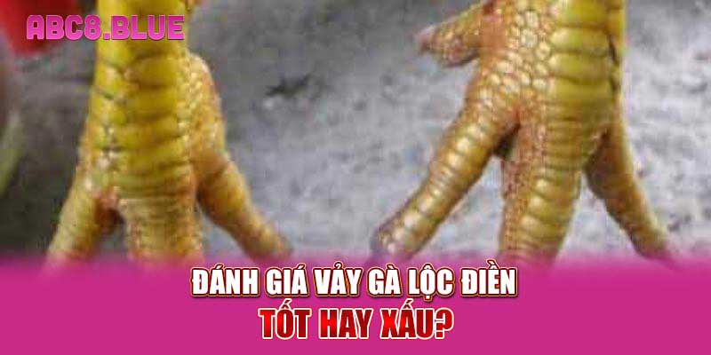 Đánh giá vảy gà Lộc Điền tốt hay xấu?