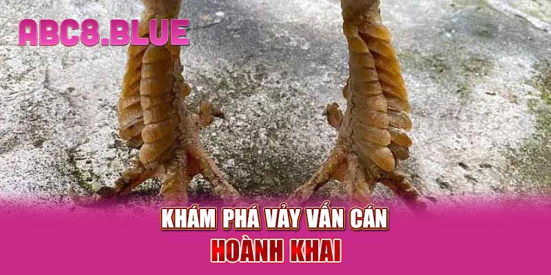 Khám phá vảy vấn cán hoành khai